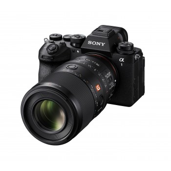 SONY OBJ SEL FE 100 MM 2.8 MACRO GM OSS
